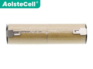 Baterija AEG Type46