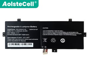 Baterija za AXIOO N11260