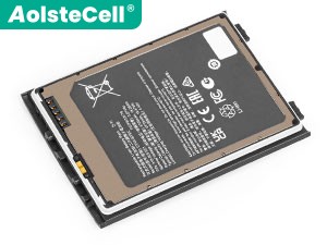 Baterija Honeywell 318-055-024